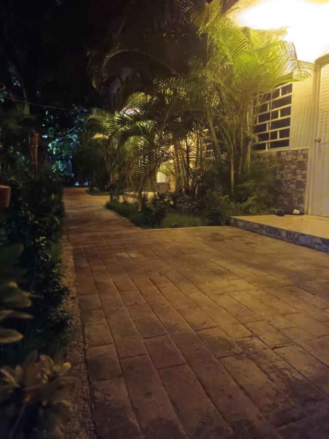 Hostal Cuyagua Palomino Exterior foto